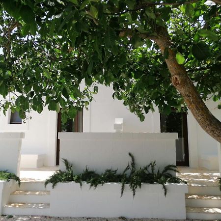 Intornoalnoce Suites ชิสแตร์นีโน ภายนอก รูปภาพ